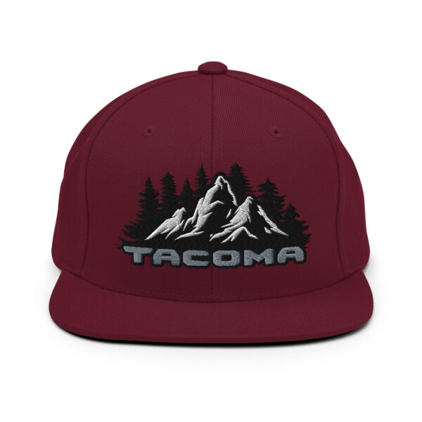 Snapback Hat - Image 11
