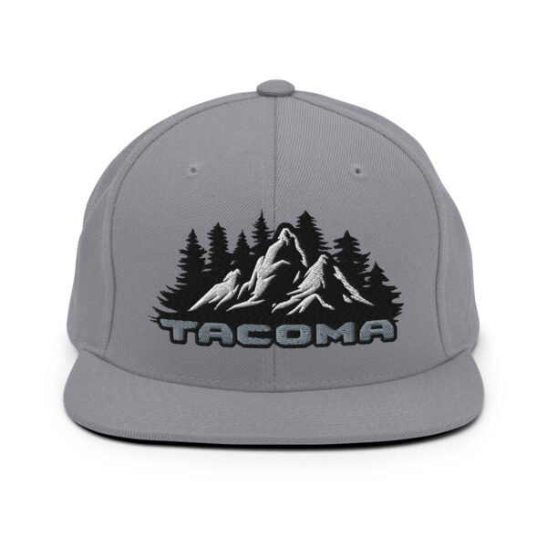 Snapback Hat - Image 18