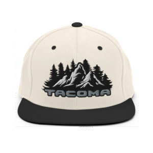 Snapback Hat