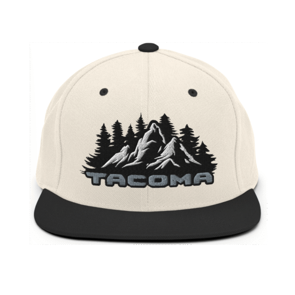 Snapback Hat