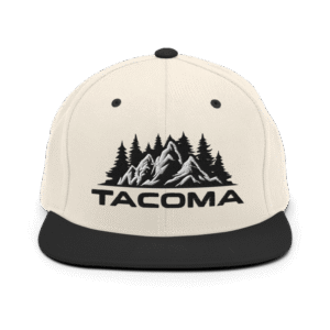 Snapback Hat