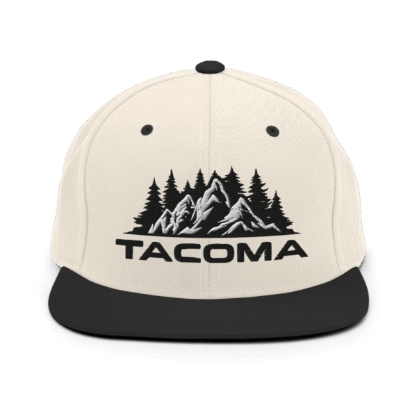 Snapback Hat