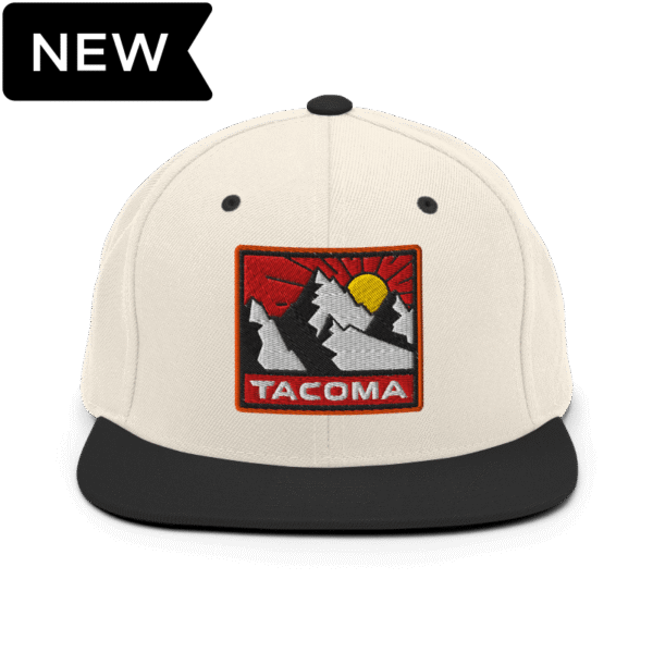 Snapback Hat